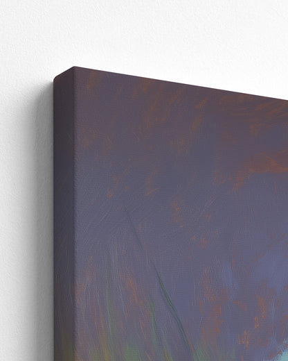 The Likouala Wetlands