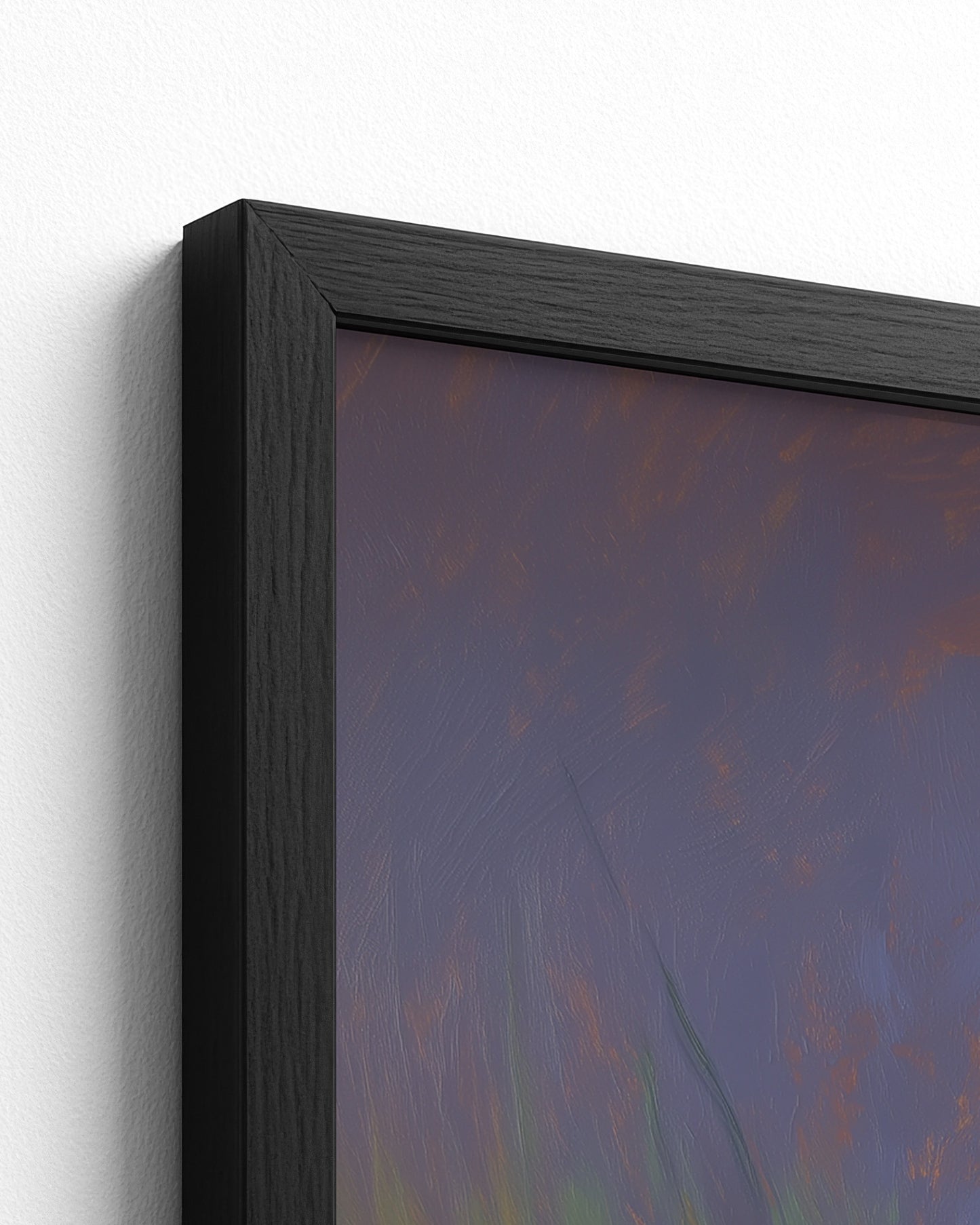 The Likouala Wetlands