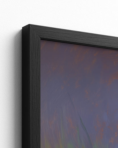 The Likouala Wetlands