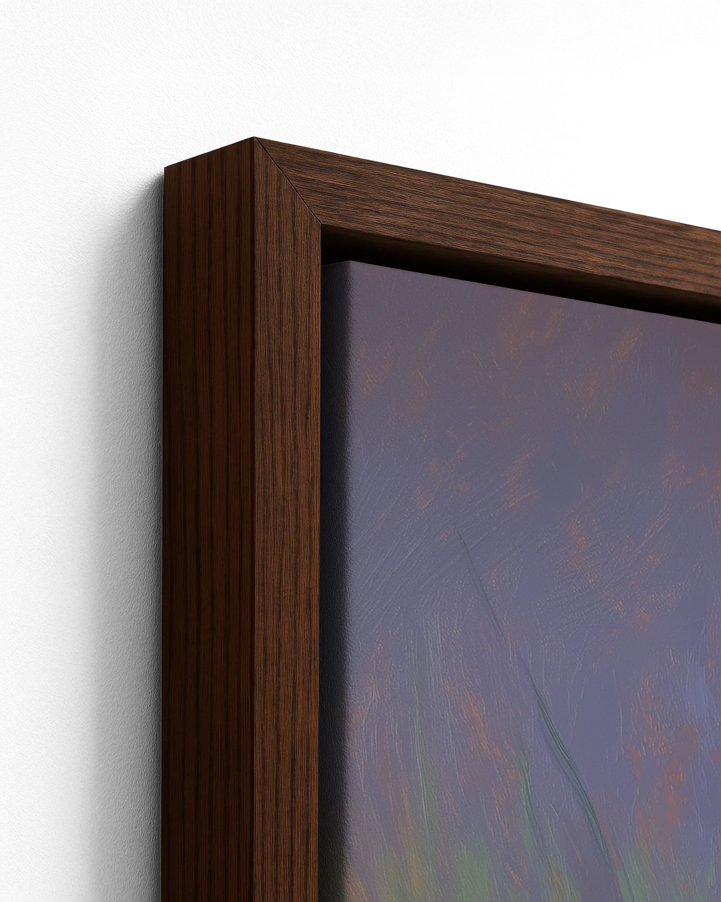 The Likouala Wetlands