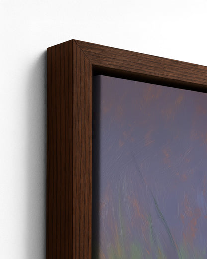 The Likouala Wetlands