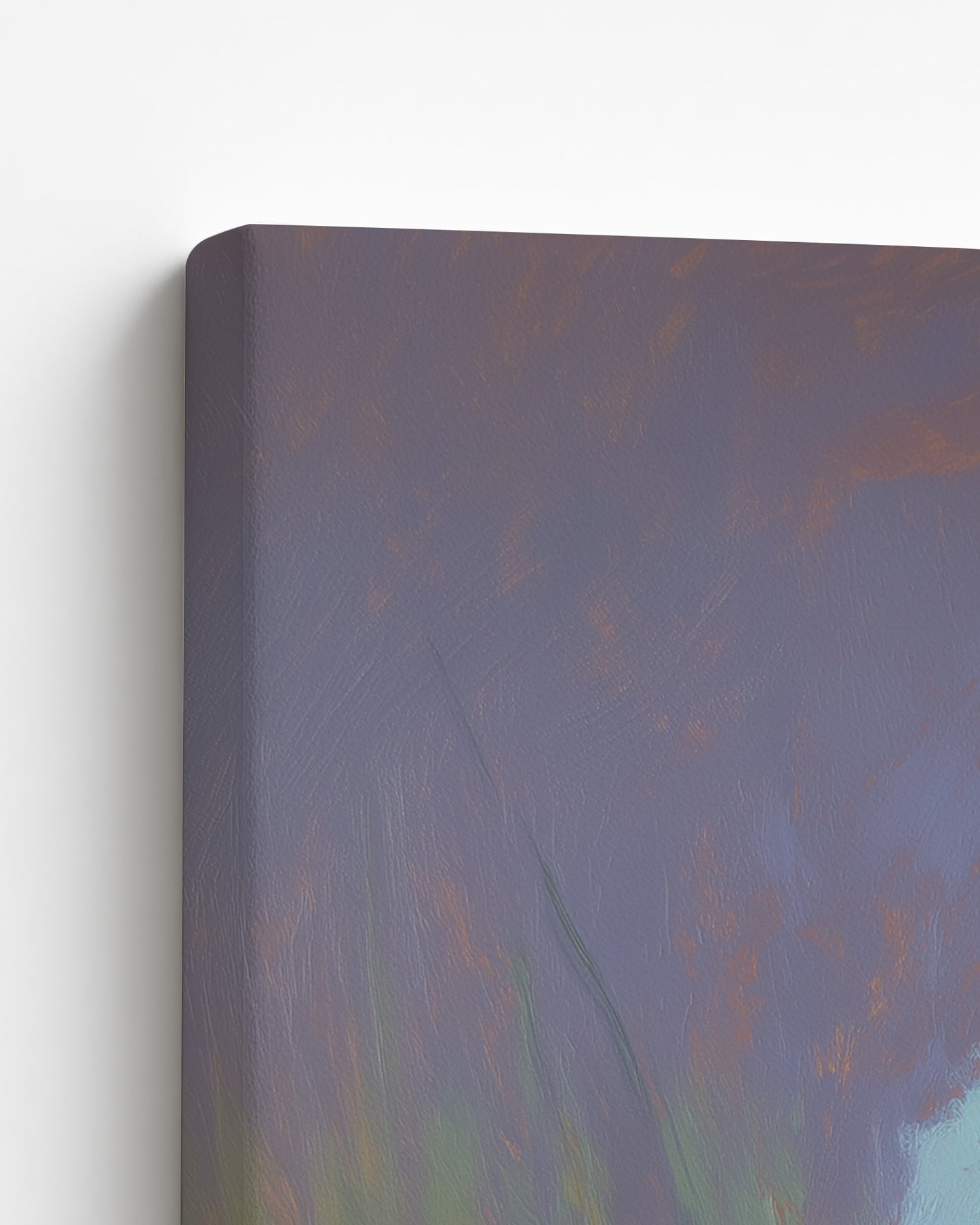 The Likouala Wetlands