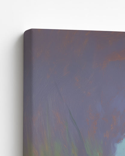 The Likouala Wetlands