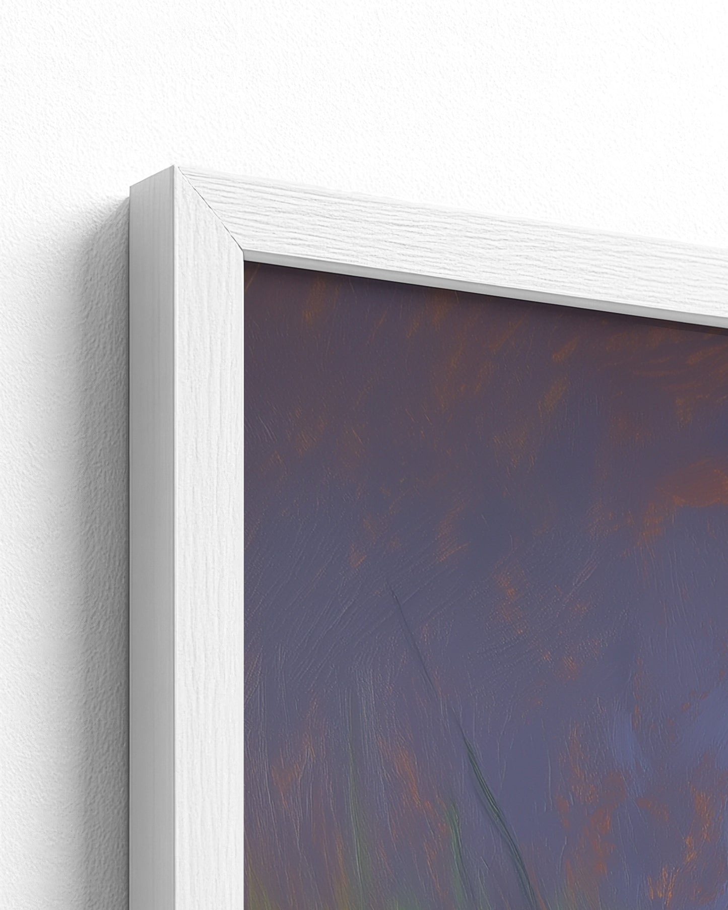 The Likouala Wetlands