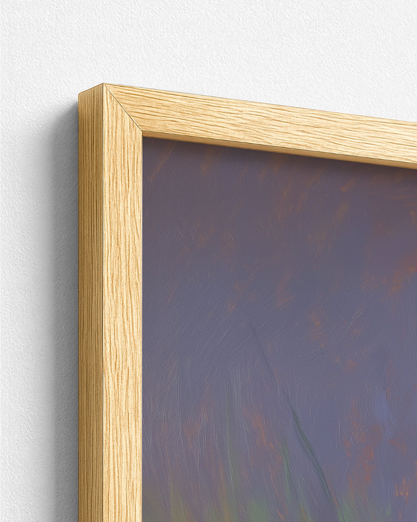 The Likouala Wetlands