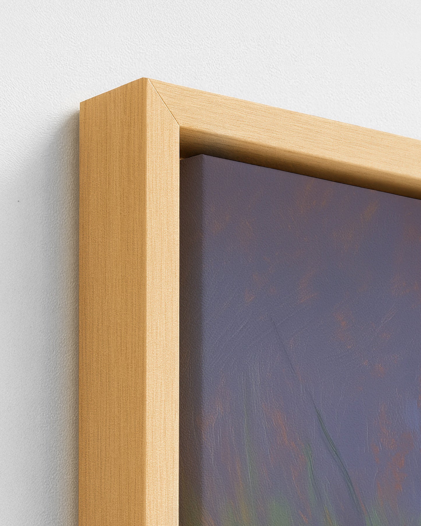 The Likouala Wetlands