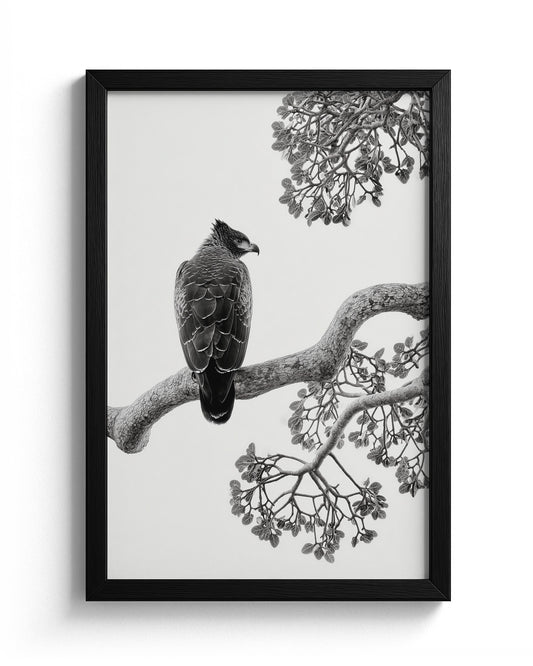 The Crowned Eagle