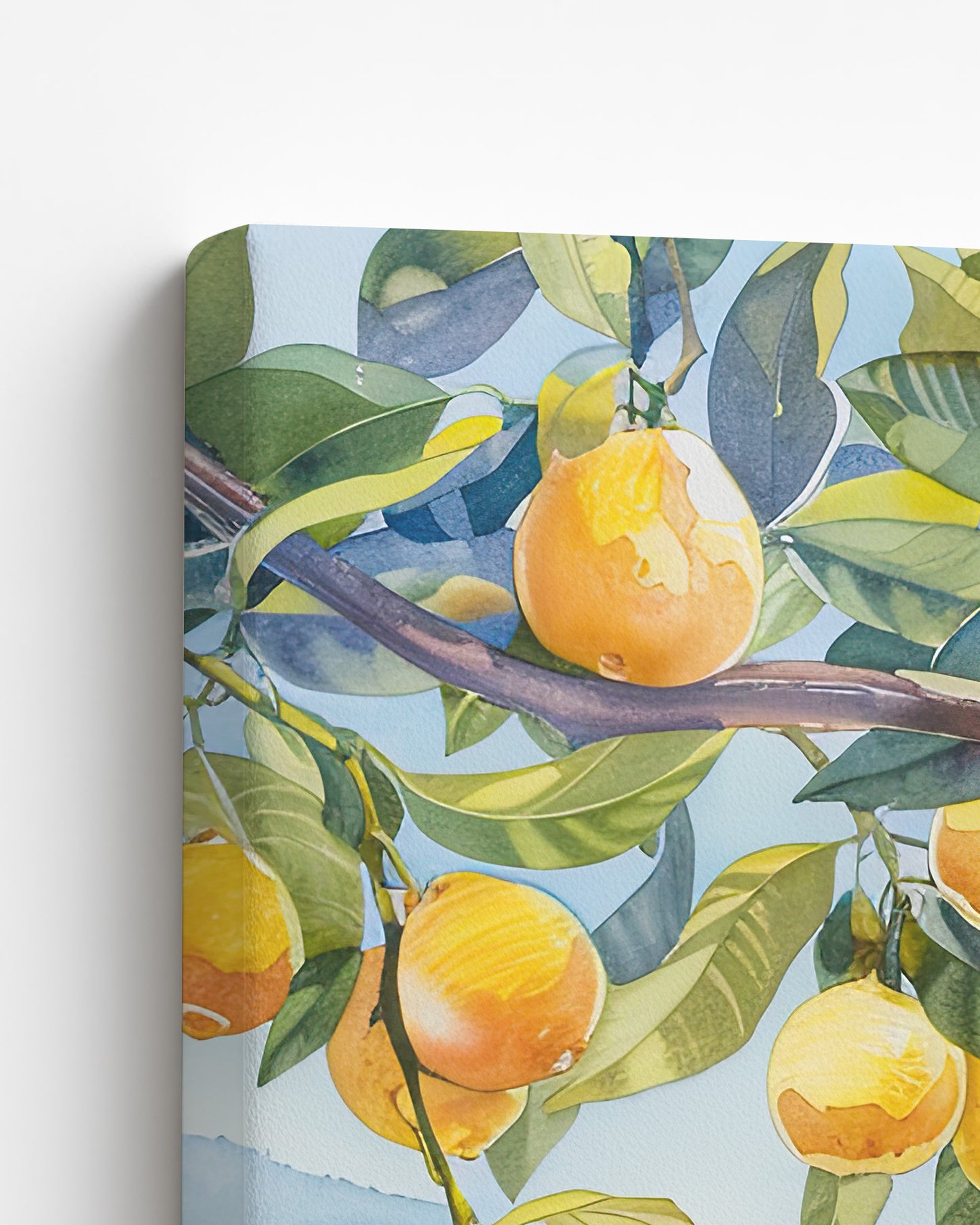 Lemon Grove Overlook