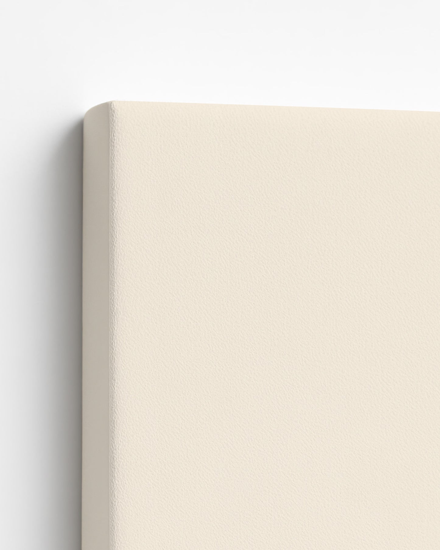 She Walks the Horizon