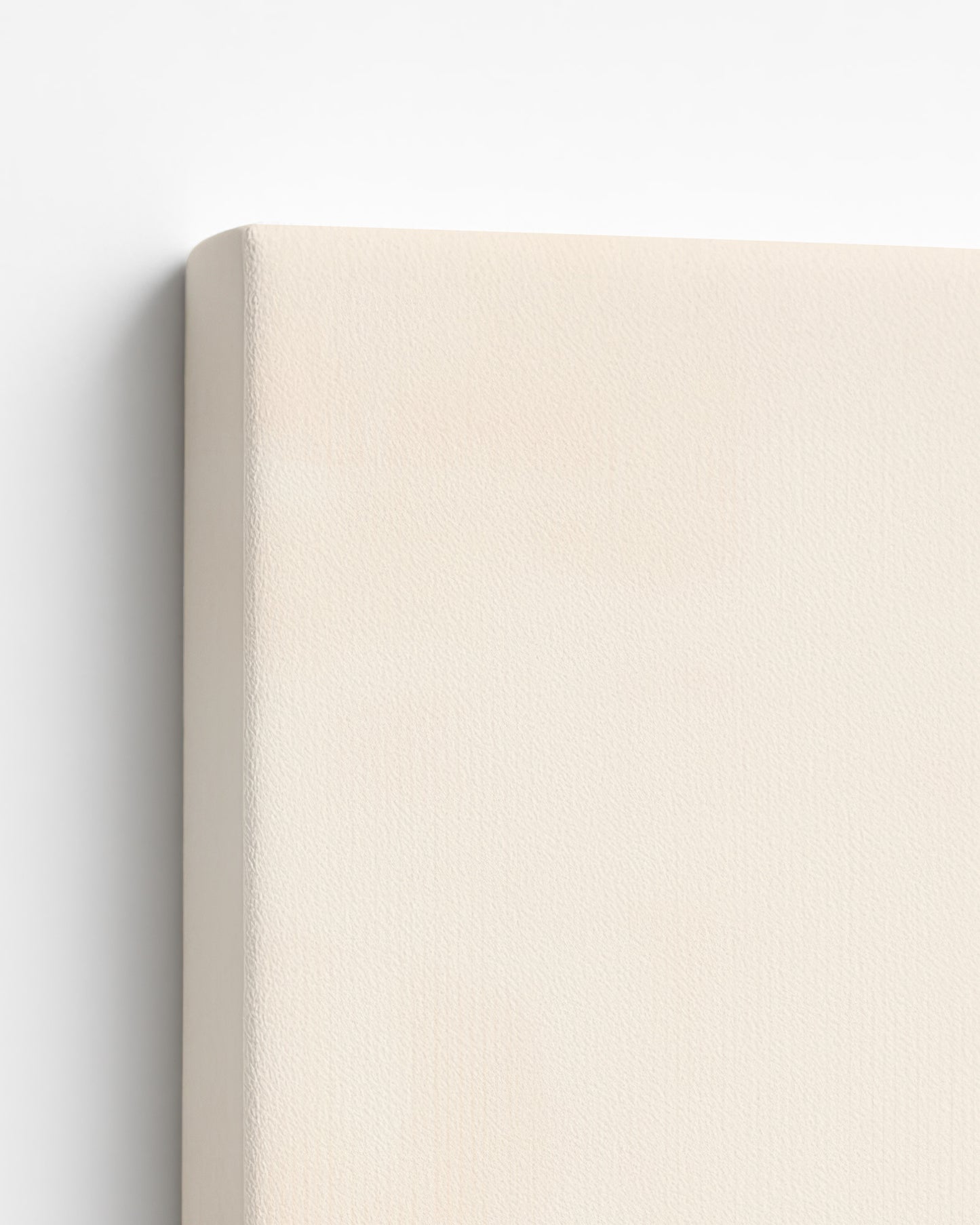 The Silence That Holds Her