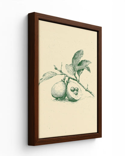 Guava - Black Framed Canvas