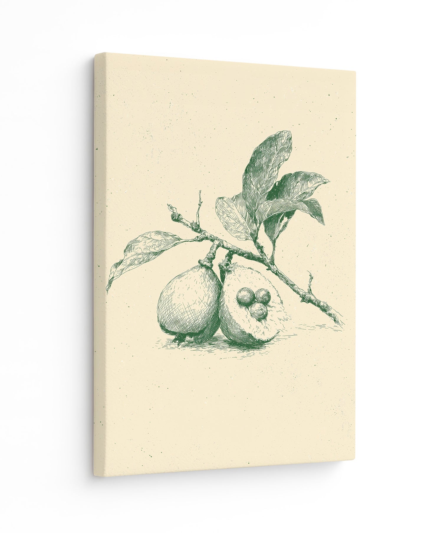 Guava - Slim Canvas
