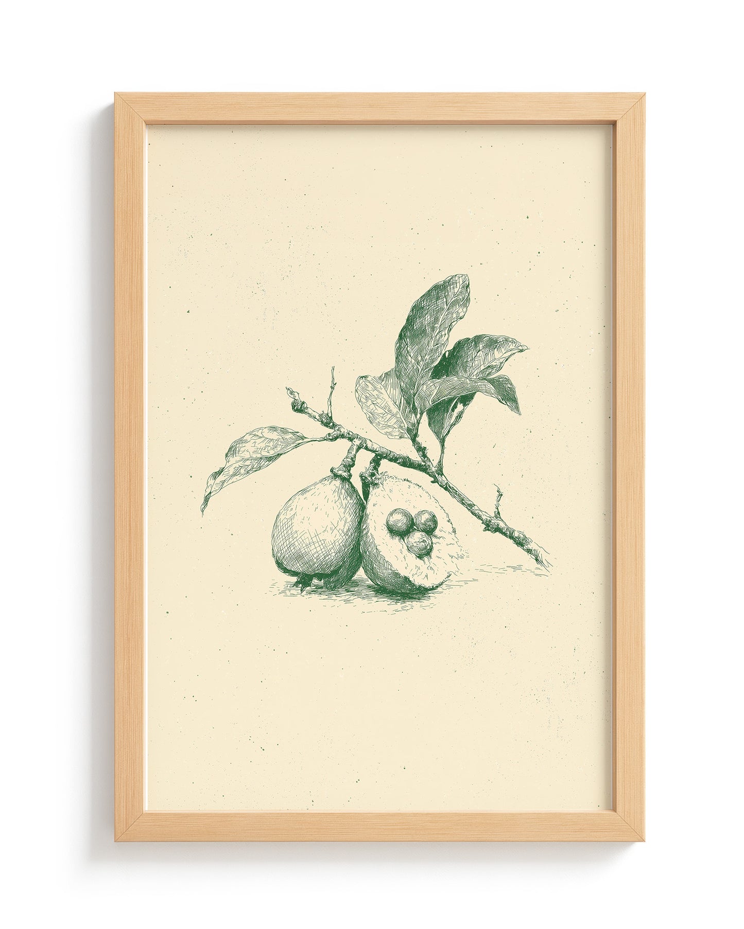 Guava - Wood Frame