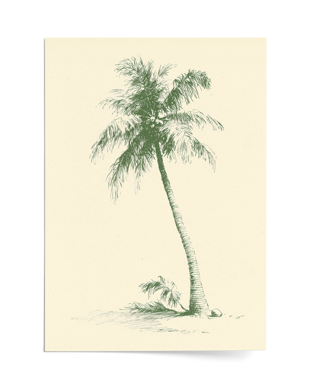 The Coconut Palm - Print