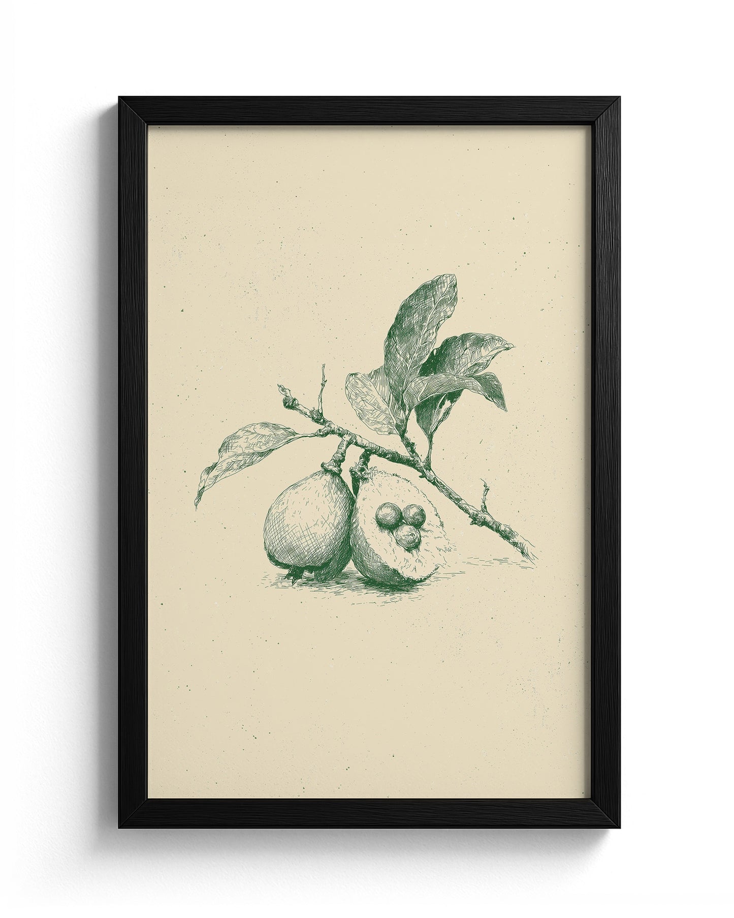 Guava - Black Frame Main