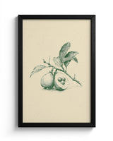 Guava - Black Frame Main