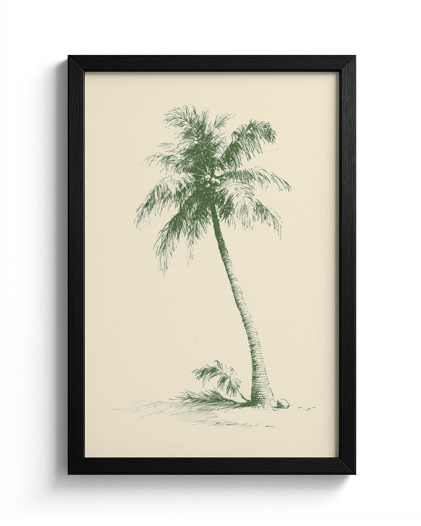 The Coconut Palm - Black Frame Main