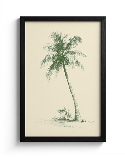 The Coconut Palm - Black Frame Main