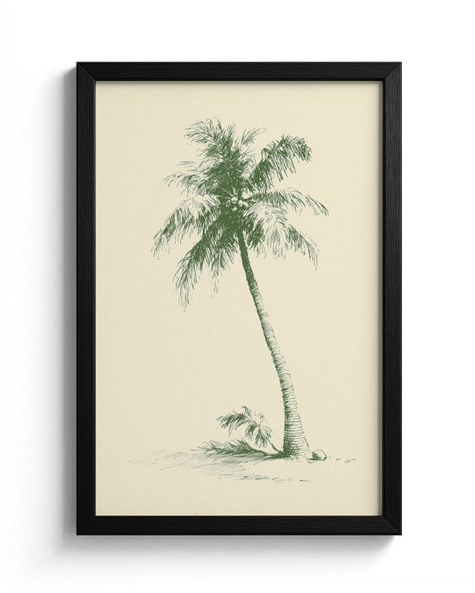 The Coconut Palm - Black Frame Main