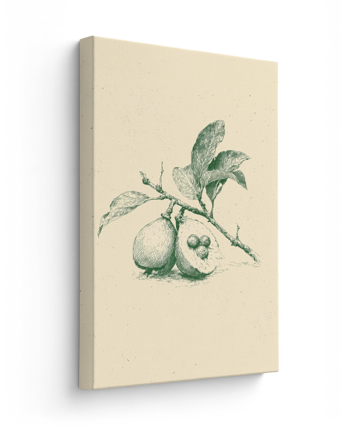 Guava - Thick Canvas