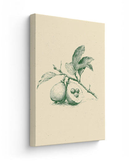 Guava - Thick Canvas