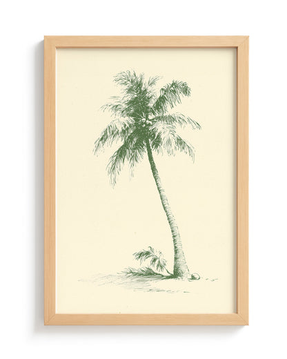 The Coconut Palm - Wood Frame