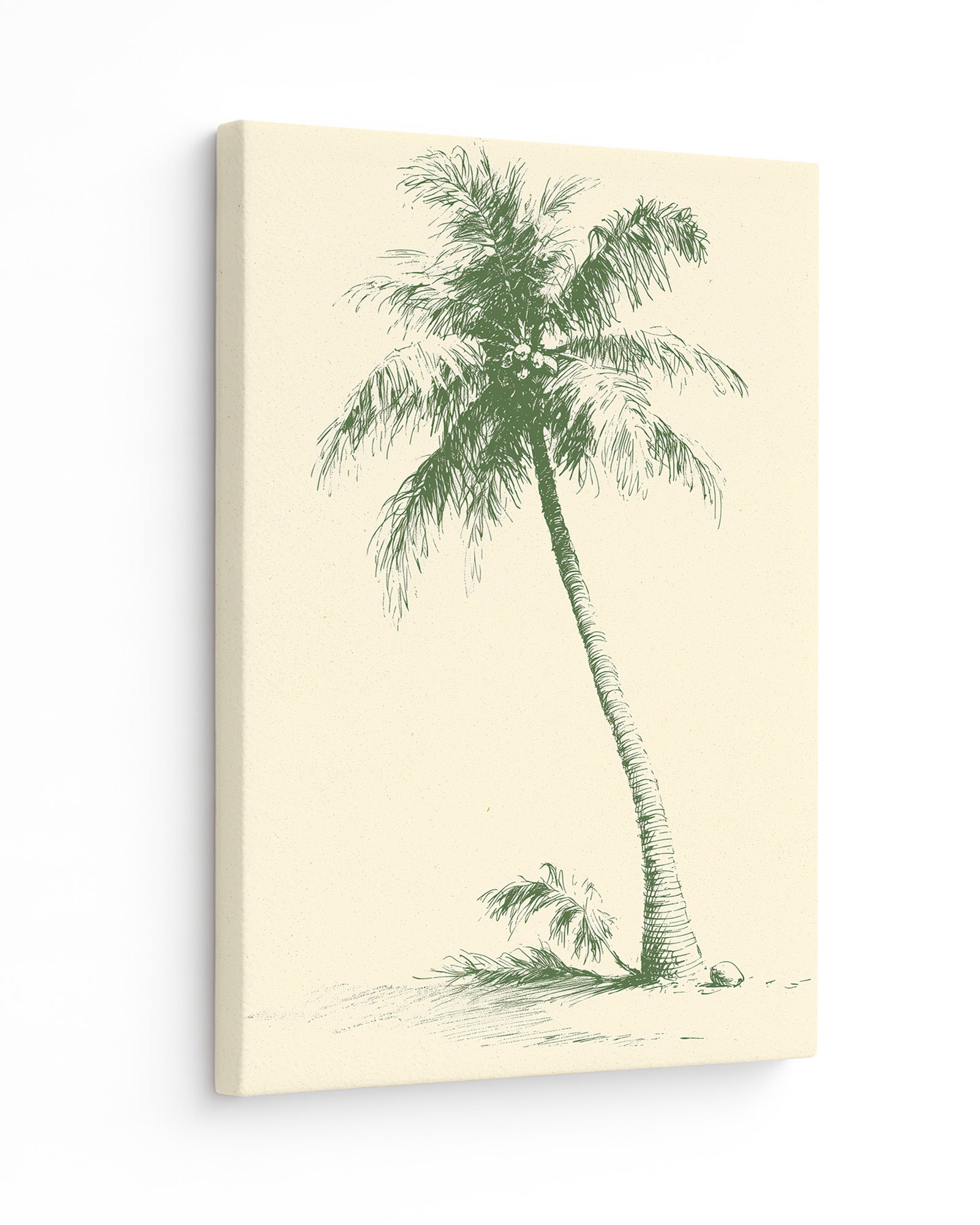 The Coconut Palm - Slim Canvas