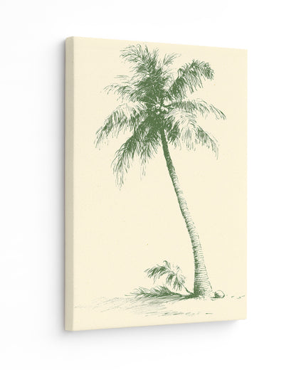 The Coconut Palm - Slim Canvas