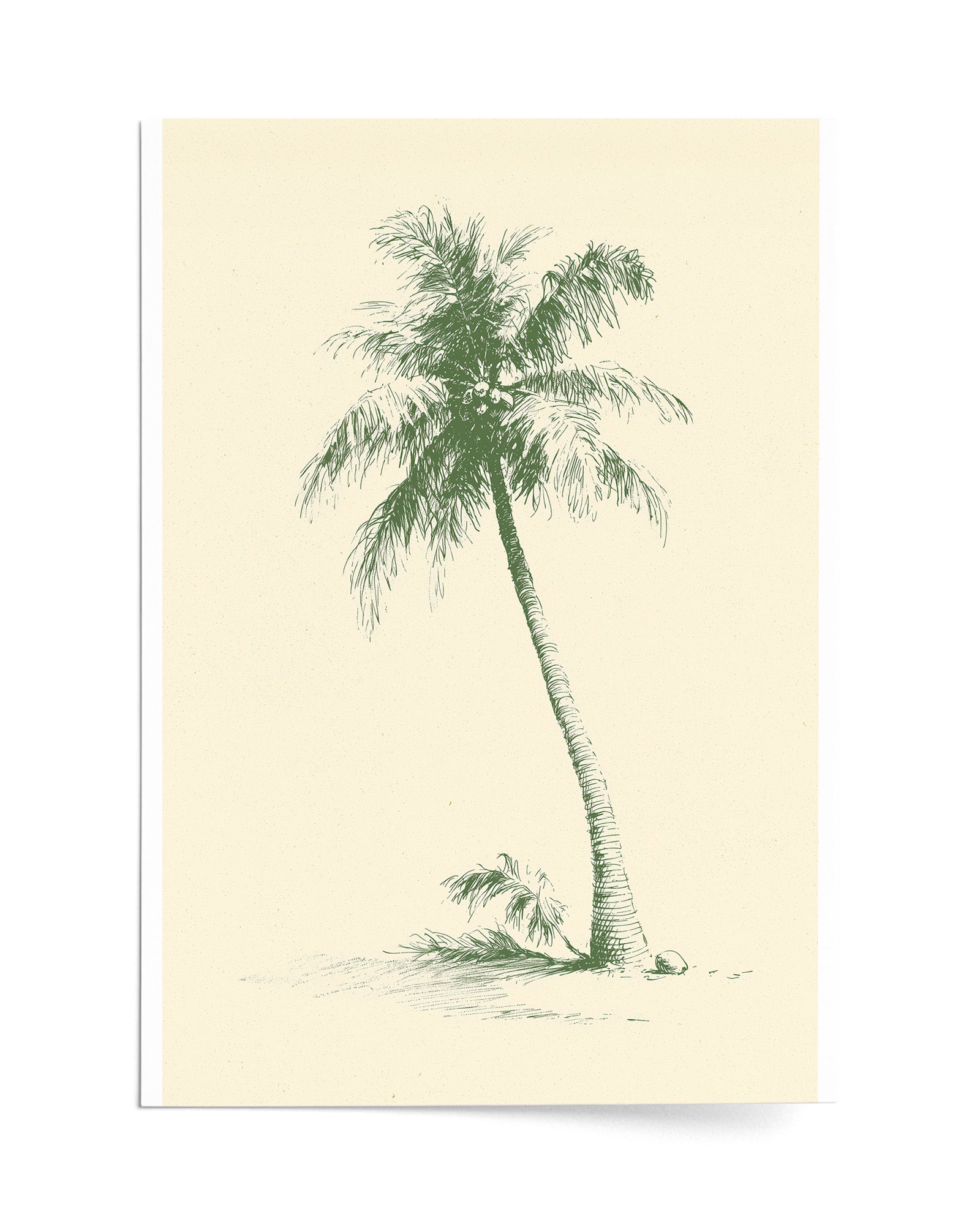 The Coconut Palm - Print