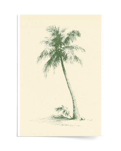 The Coconut Palm - Print