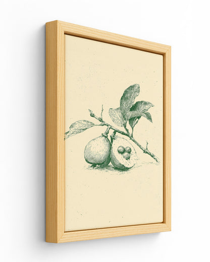 Guava - Wood Framed Canvas