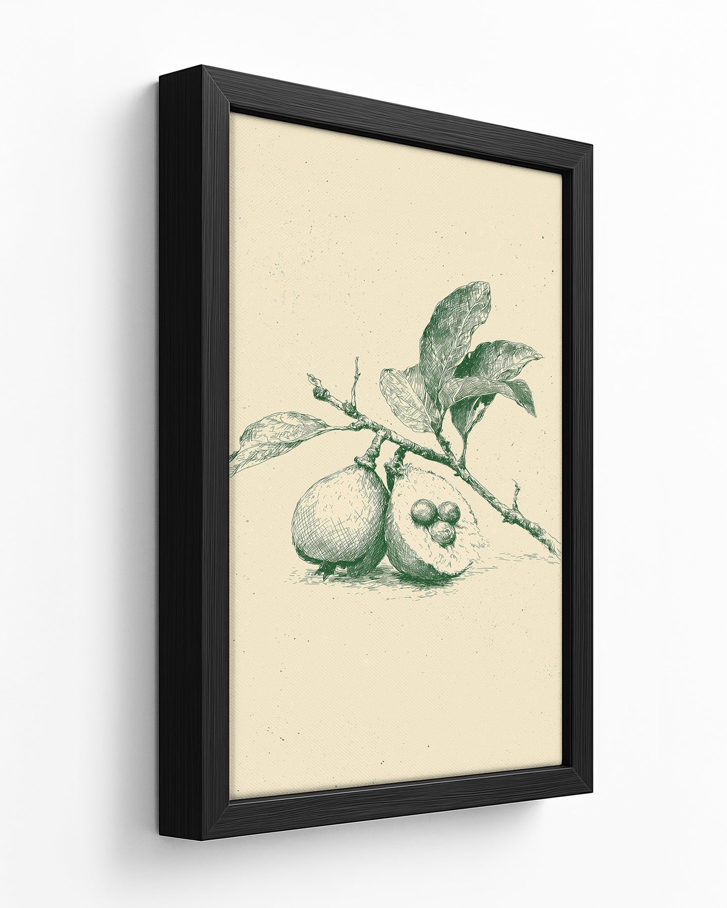 Guava - Dark Wood Framed Canvas