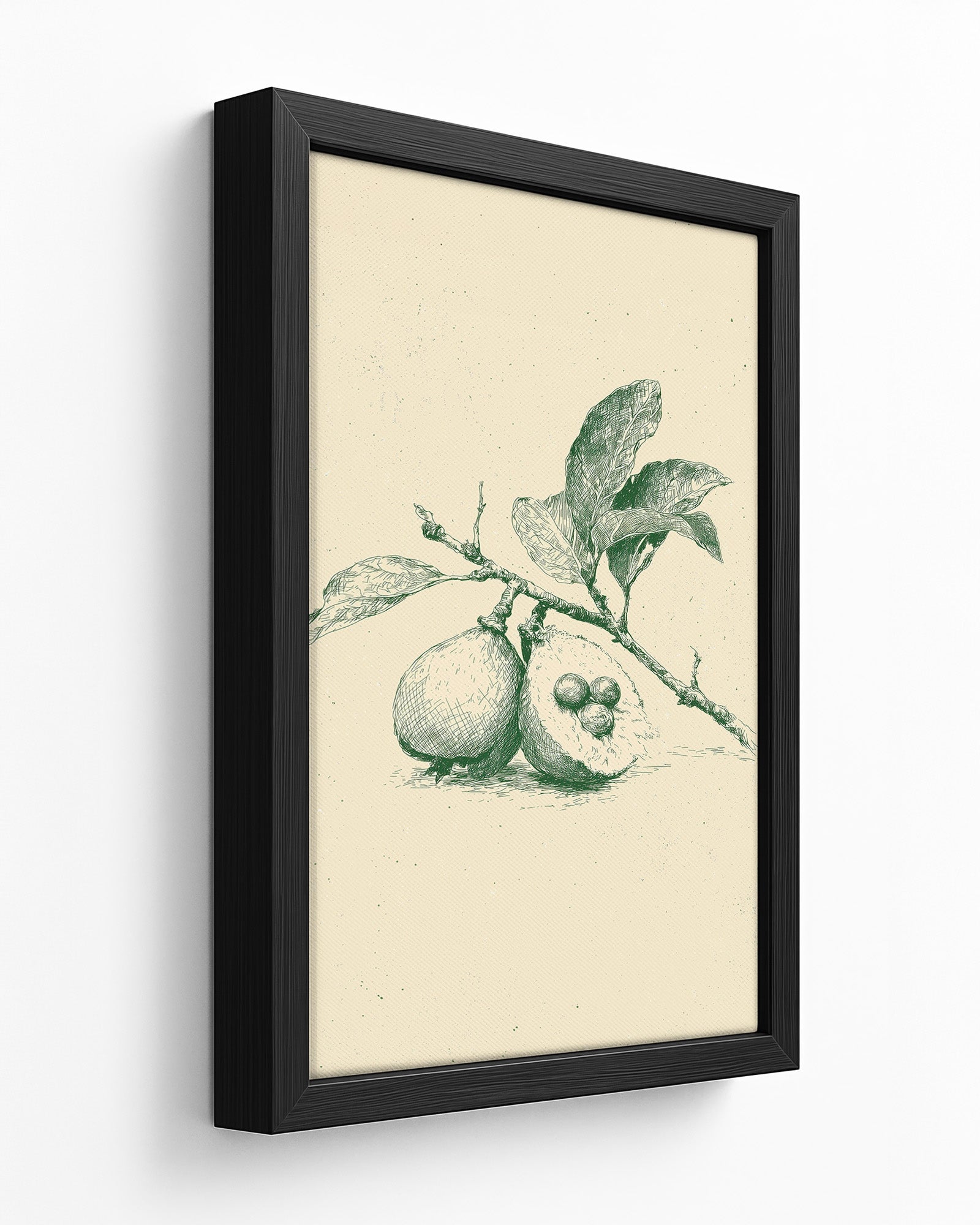 Guava - Dark Wood Framed Canvas