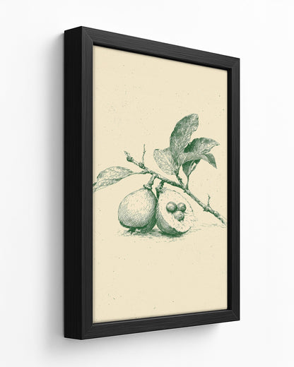 Guava - Dark Wood Framed Canvas