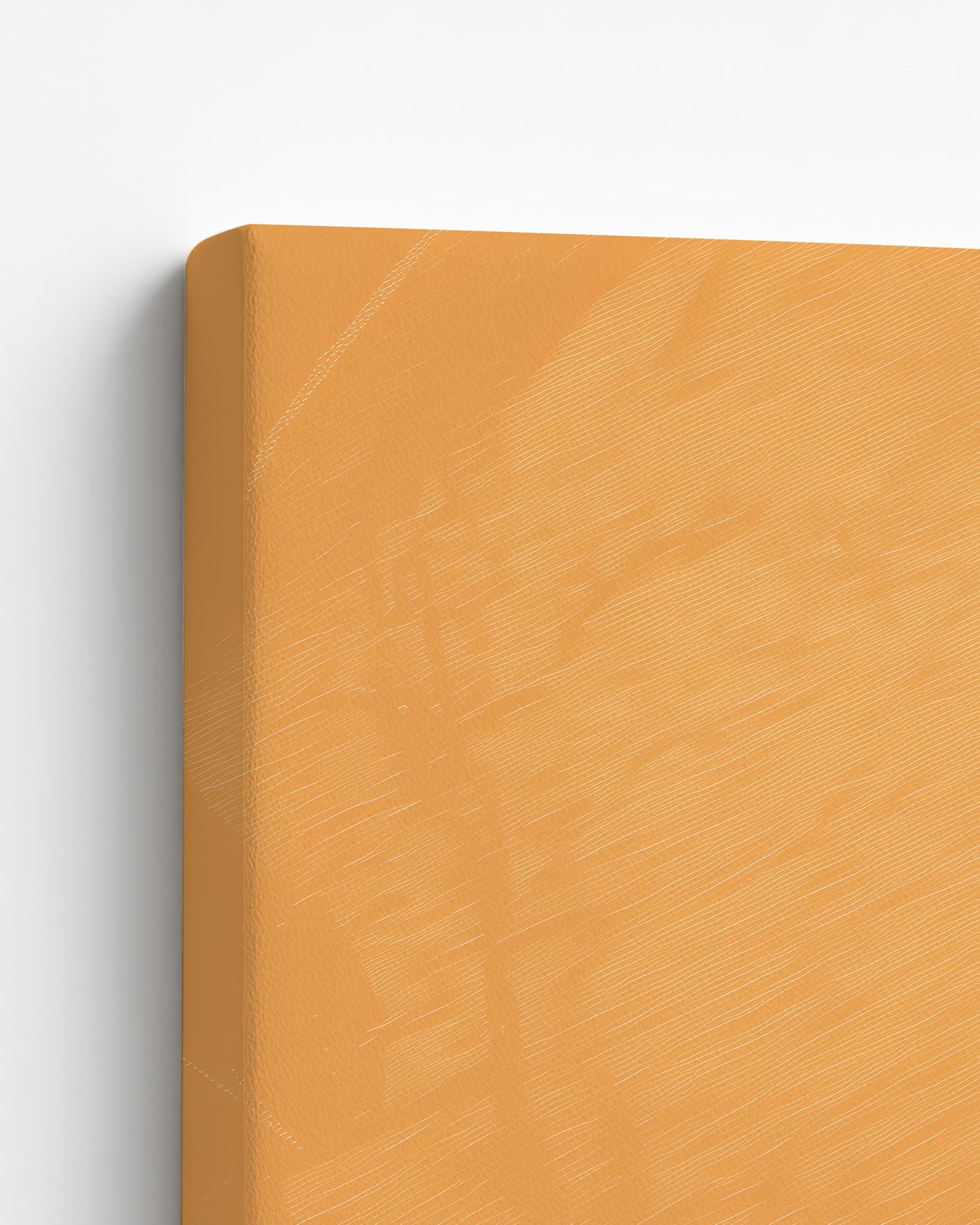 Sisterhood in Sunlight