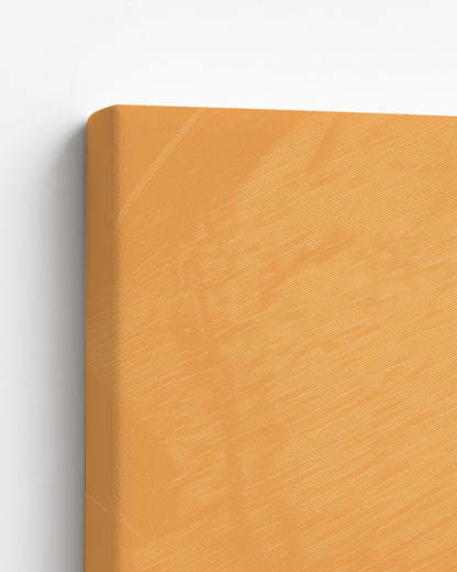 Sisterhood in Sunlight