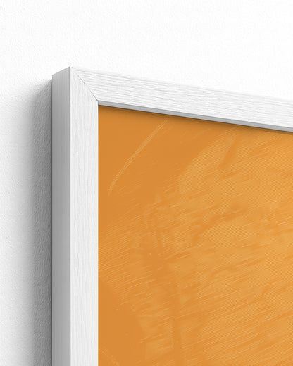 Sisterhood in Sunlight