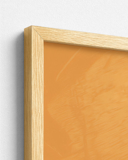 Sisterhood in Sunlight