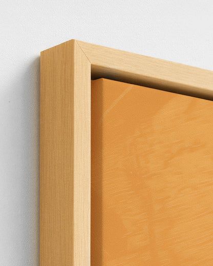 Sisterhood in Sunlight