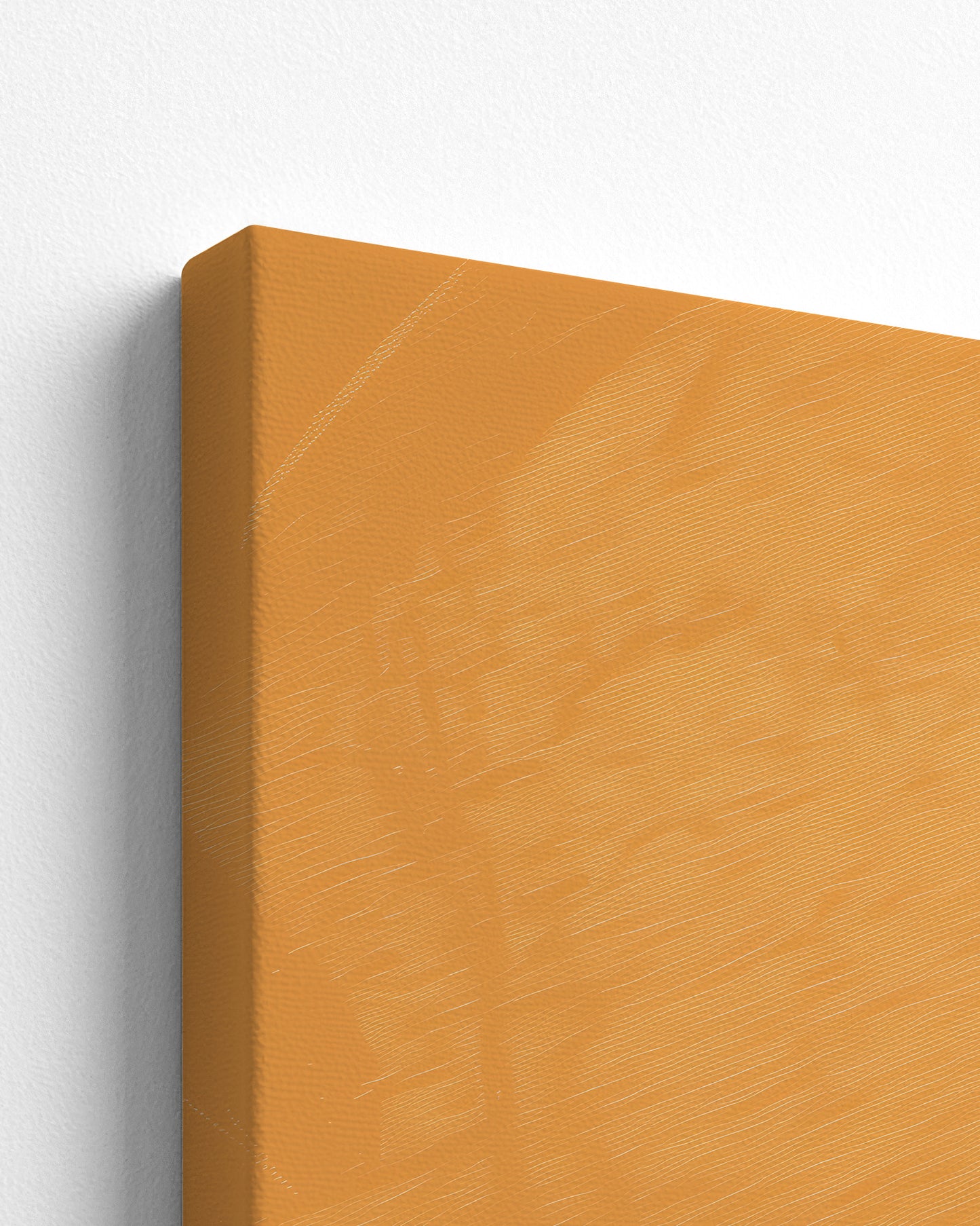 Sisterhood in Sunlight