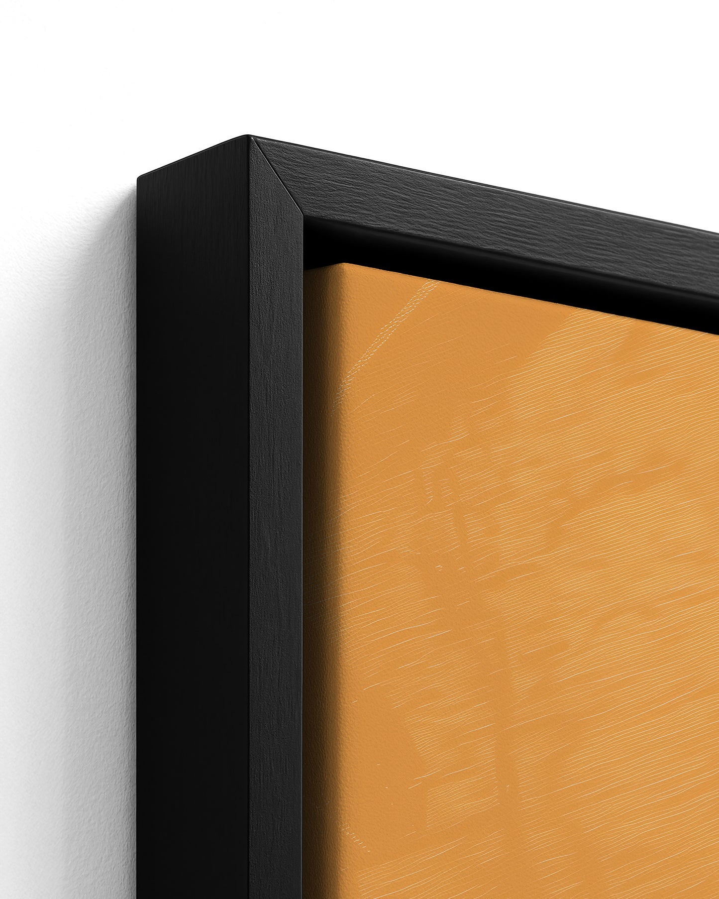 Sisterhood in Sunlight