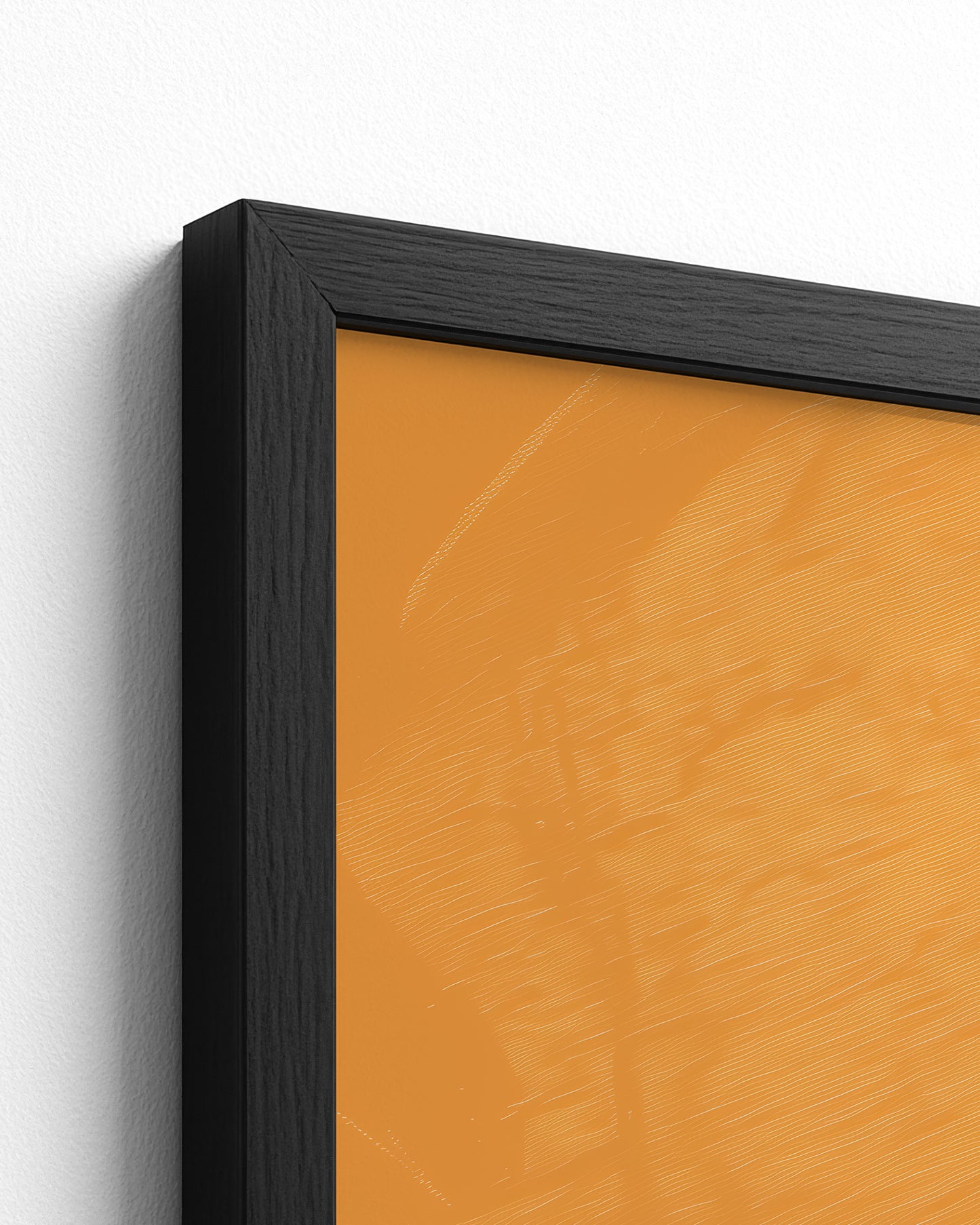 Sisterhood in Sunlight